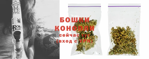 твердый Богородск