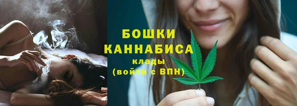 ECSTASY Богданович