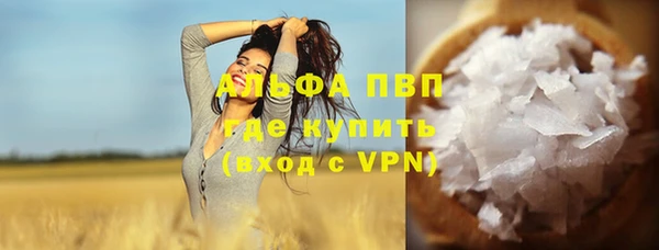 ECSTASY Богданович