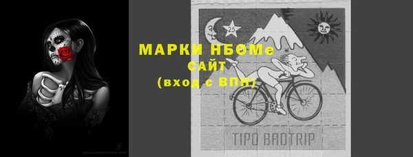 ECSTASY Богданович
