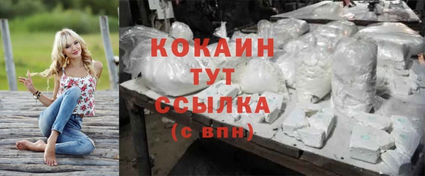 твердый Богородск