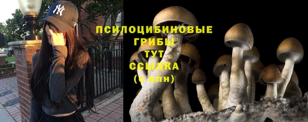 твердый Богородск