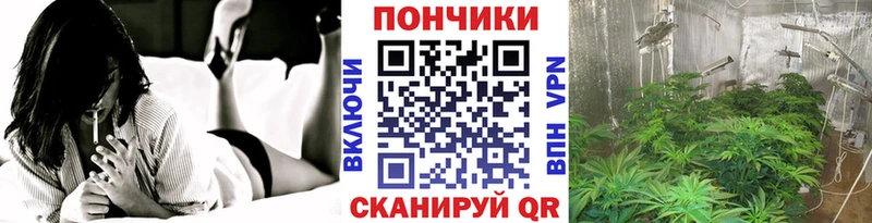 Шишки марихуана Amnesia  где найти наркотики  Барабинск 